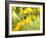 Susan Study I-James McLoughlin-Framed Photographic Print