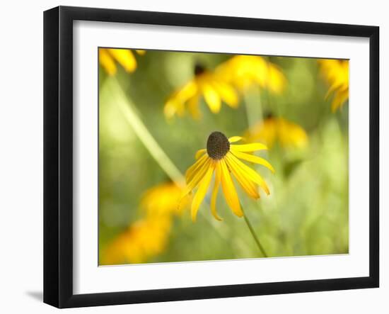 Susan Study I-James McLoughlin-Framed Photographic Print