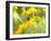 Susan Study I-James McLoughlin-Framed Photographic Print