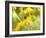 Susan Study I-James McLoughlin-Framed Photographic Print