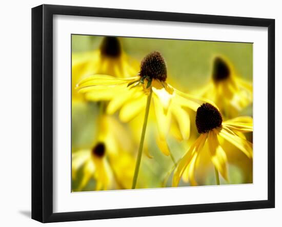 Susan Study II-James McLoughlin-Framed Photographic Print