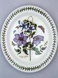 Dinner Plate-Susan Williams Ellis-Giclee Print