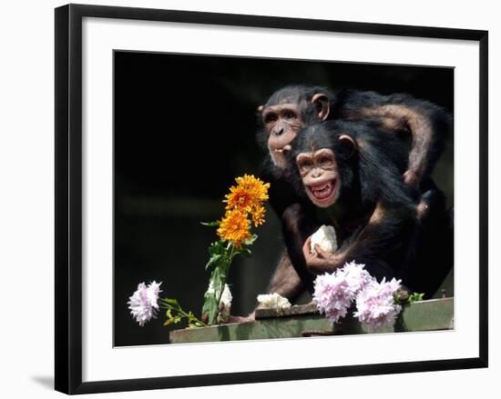 Susana and Gombe-null-Framed Photographic Print