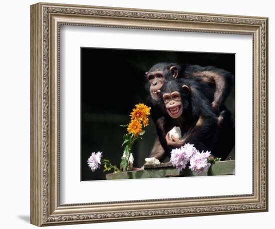 Susana and Gombe-null-Framed Photographic Print