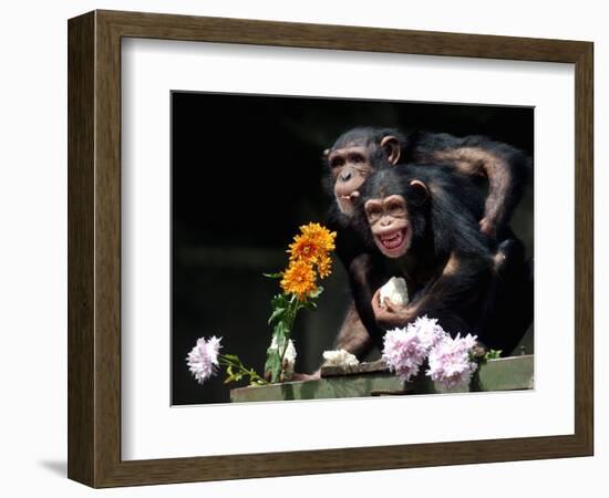 Susana and Gombe-null-Framed Photographic Print