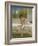 Susannah Without the Elders-Frederick Goodall-Framed Giclee Print