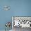 Susannah York - Kaleidoscope-null-Photo displayed on a wall