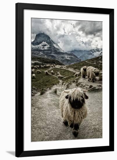 Photographic Print, , large