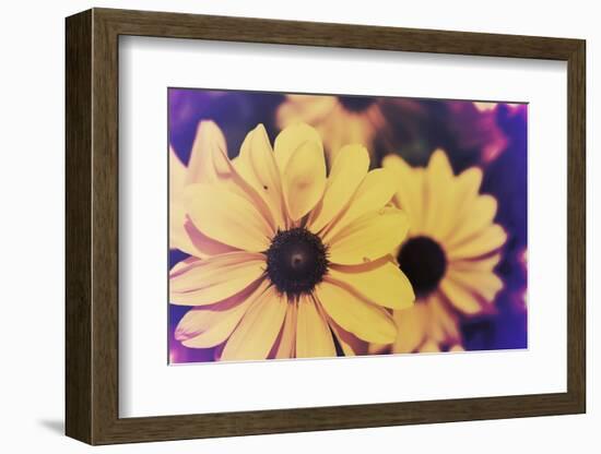 Susans III-Jason Johnson-Framed Photographic Print