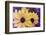 Susans III-Jason Johnson-Framed Photographic Print