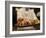 Sushi Chef Presents a Plate of Various Seafood Sushi, Japan, Asia-Aaron McCoy-Framed Photographic Print