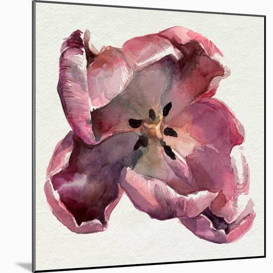 Susie's Tulips I-Jennifer Parker-Mounted Art Print