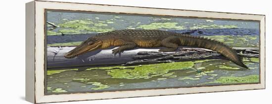 Susisuchus Anatoceps, a Small Crocodyliform from the Early Cretaceous Period-null-Framed Stretched Canvas