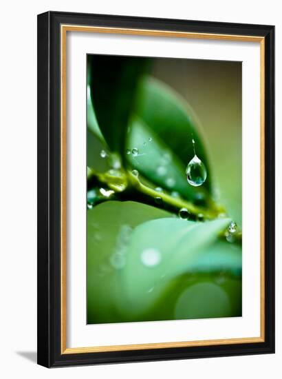 Suspended Dew I-Erin Berzel-Framed Art Print