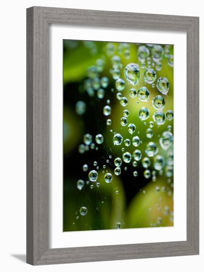 Suspended Dew II-Erin Berzel-Framed Art Print