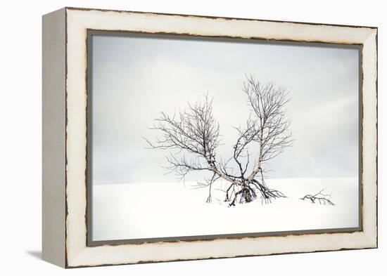 Suspended in Time-Andreas Stridsberg-Framed Stretched Canvas