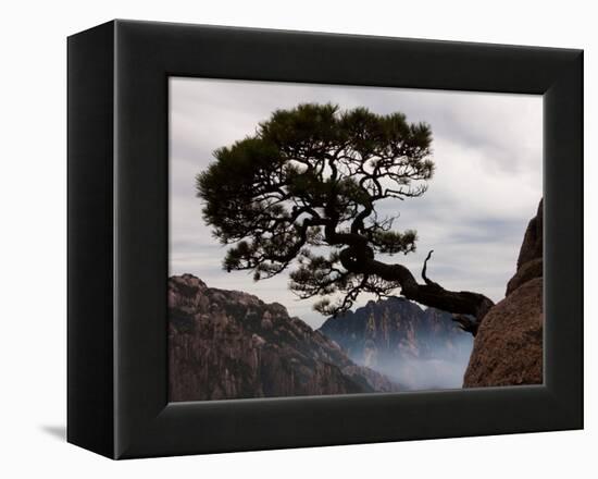 Suspended-Art Wolfe-Framed Premier Image Canvas