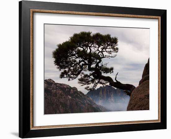 Suspended-Art Wolfe-Framed Photographic Print