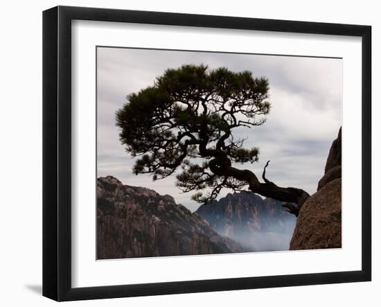 Suspended-Art Wolfe-Framed Photographic Print