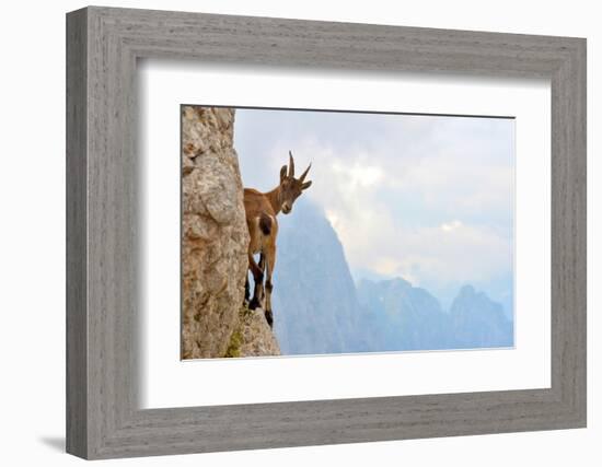 Suspense-Stefano Zocca-Framed Photographic Print