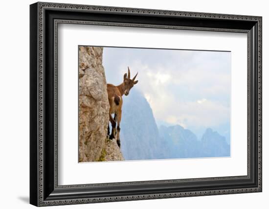 Suspense-Stefano Zocca-Framed Photographic Print