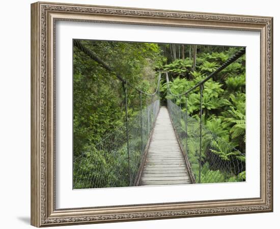 Suspension Bridge and Rainforest, Tarra Bulga National Park, Victoria, Australia, Pacific-Schlenker Jochen-Framed Photographic Print