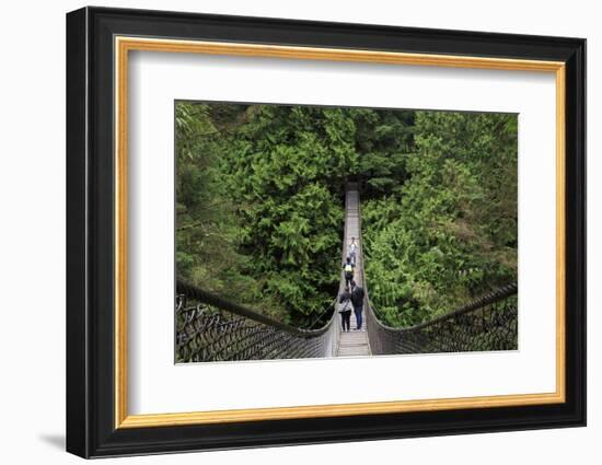 Suspension bridge, Lynn Canyon Park, Vancouver, British Columbia, Canada, North America-Richard Cummins-Framed Photographic Print