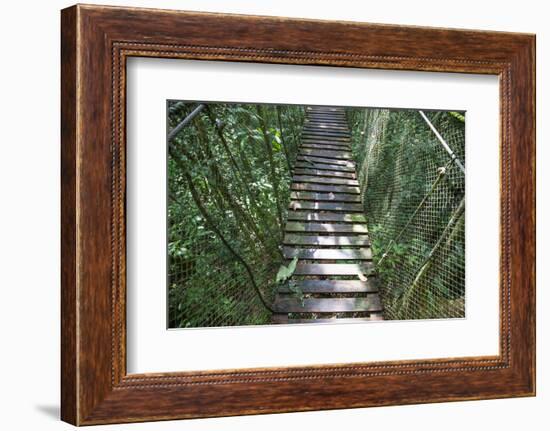 Suspension Bridge, Pacaya-Samiria Reserve, Amazon Rainforest. Peru-Mallorie Ostrowitz-Framed Photographic Print