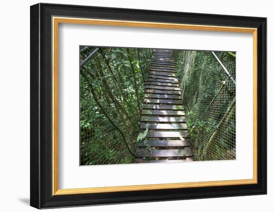 Suspension Bridge, Pacaya-Samiria Reserve, Amazon Rainforest. Peru-Mallorie Ostrowitz-Framed Photographic Print