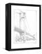 Suspension Bridge Study I-Ethan Harper-Framed Stretched Canvas