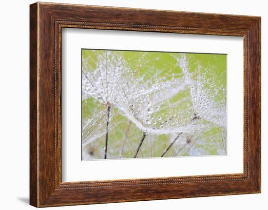 Suspensions-Marco Carmassi-Framed Photographic Print