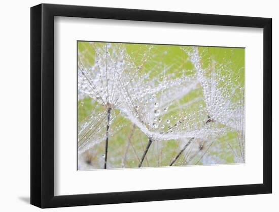 Suspensions-Marco Carmassi-Framed Photographic Print