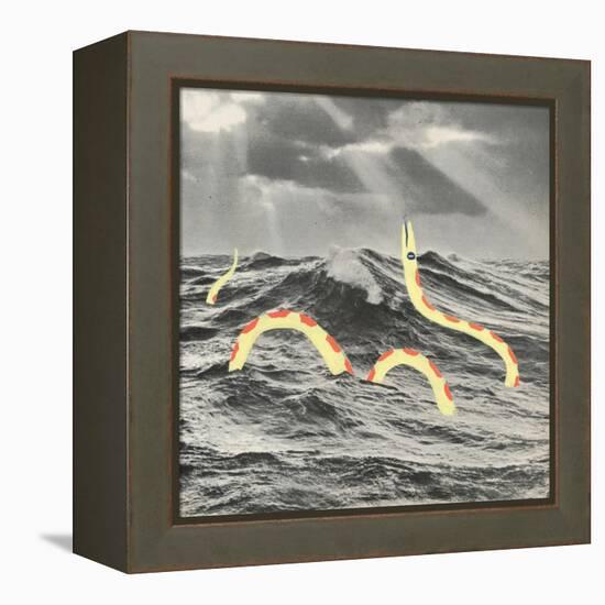 Suspicious Snake-Danielle Kroll-Framed Premier Image Canvas