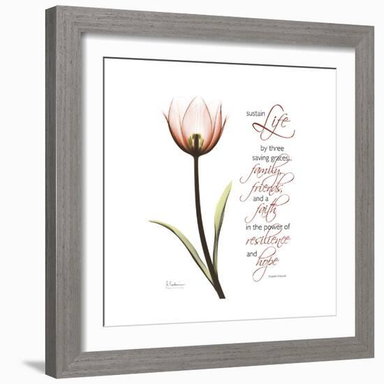 Sustain Life Tulip-Albert Koetsier-Framed Premium Giclee Print