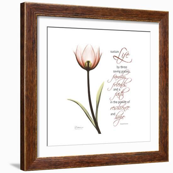 Sustain Life Tulip-Albert Koetsier-Framed Premium Giclee Print