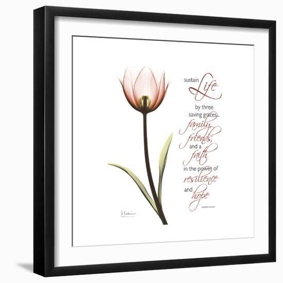 Sustain Life Tulip-Albert Koetsier-Framed Premium Giclee Print