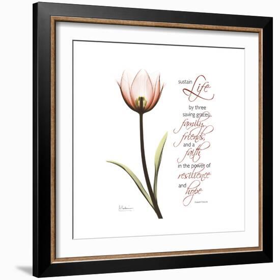 Sustain Life Tulip-Albert Koetsier-Framed Premium Giclee Print