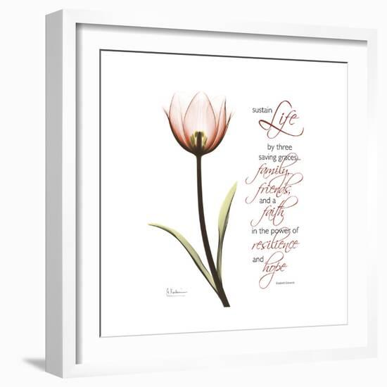 Sustain Life Tulip-Albert Koetsier-Framed Premium Giclee Print