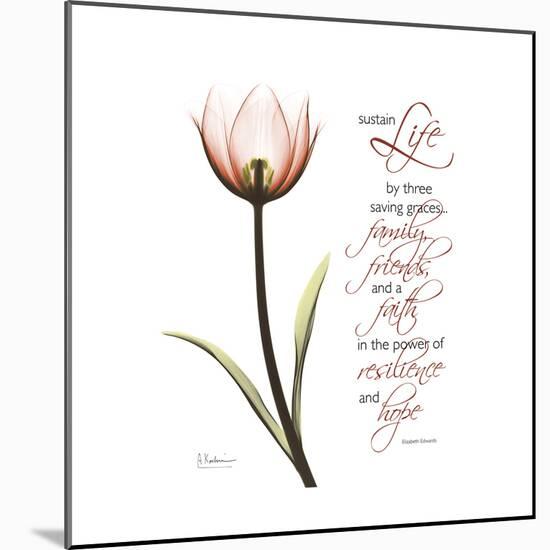 Sustain Life Tulip-Albert Koetsier-Mounted Premium Giclee Print