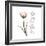 Sustain Life Tulip-Albert Koetsier-Framed Premium Giclee Print