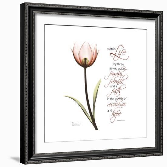 Sustain Life Tulip-Albert Koetsier-Framed Premium Giclee Print