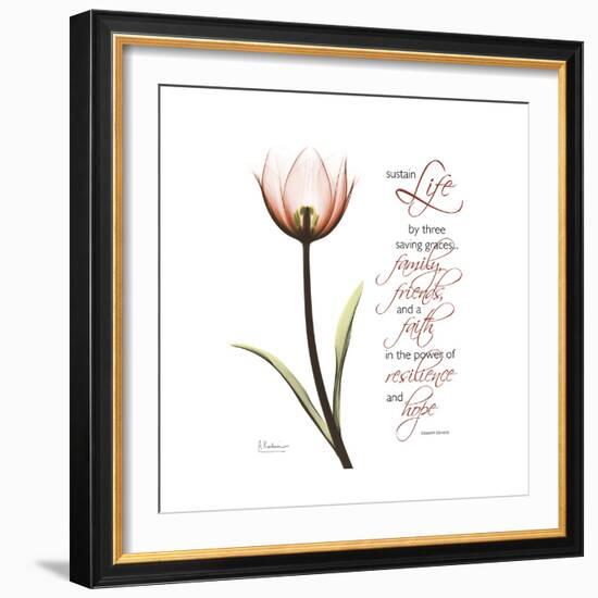 Sustain Life Tulip-Albert Koetsier-Framed Premium Giclee Print
