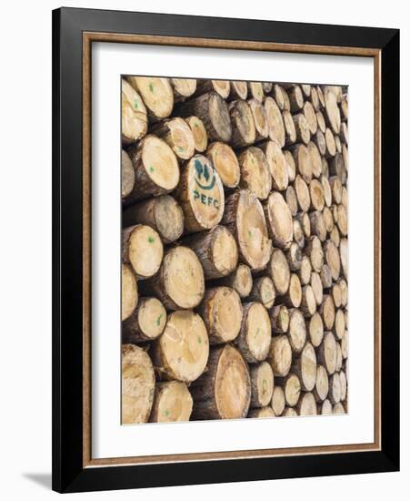 Sustainable Forestry Log Harvest, Dolomites, Rosengarten, South Tyrol, Italy-Martin Zwick-Framed Photographic Print