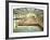 Sutro Baths, San Francisco-Unknown Unknown-Framed Giclee Print