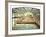 Sutro Baths, San Francisco-Unknown Unknown-Framed Giclee Print