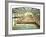 Sutro Baths, San Francisco-Unknown Unknown-Framed Giclee Print