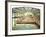 Sutro Baths, San Francisco-Unknown Unknown-Framed Giclee Print