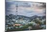 Sutro Tower Hillside, San Francisco-Vincent James-Mounted Photographic Print