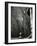 Sutton Place, New York, 1943-Brett Weston-Framed Photographic Print