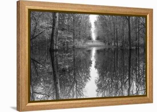 Suwanne Reflection Pano - BW-Moises Levy-Framed Premier Image Canvas